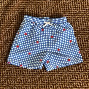 Mini Boden 3 - 4T swim trunks great condition in blue gingham with strawberries.